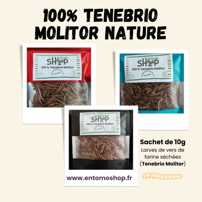 100% Tenebrio Molitor nature