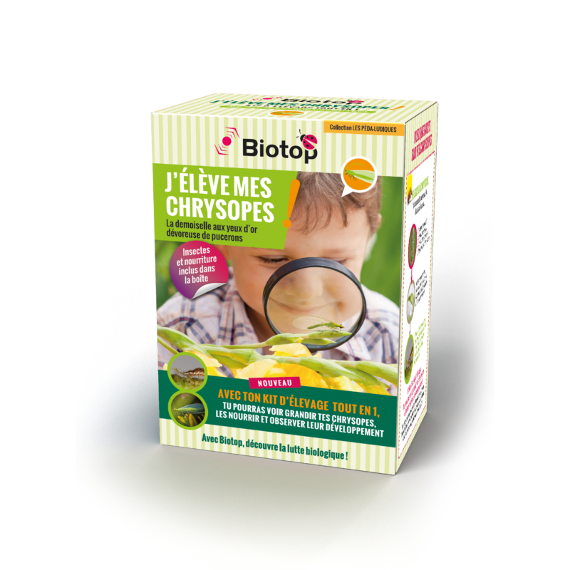 Kit pédagogique élevage des chrysopes tout en 1
