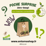 poche surprise zéro gaspi aux insectes comestibles