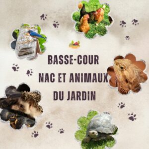 OISEAUX NAC ET ANIMAUX DU JARDIN