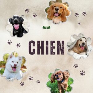 CHIEN