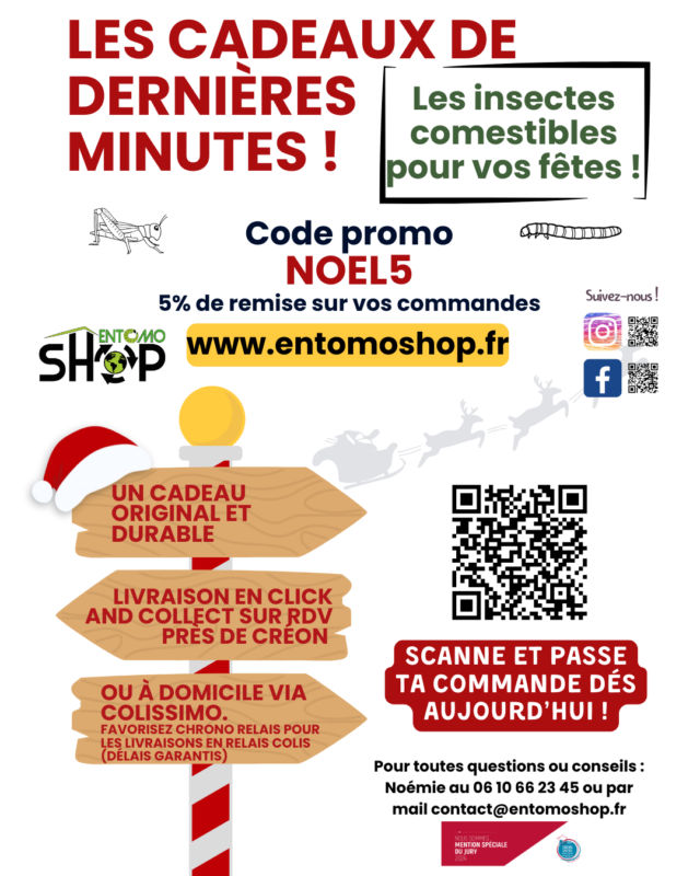 Les fêtes de Noël approchent ! C'est le moment de découvrir les insectes comestibles !