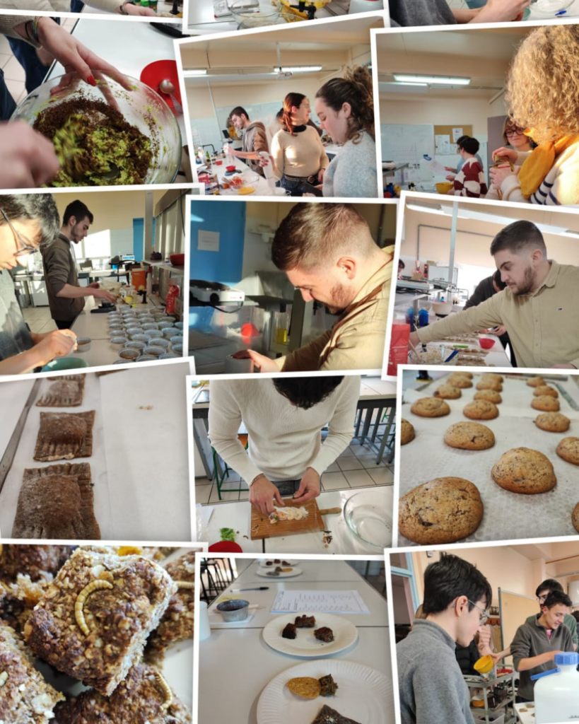Un avant-goût de l'entomophagie à l'IUT de Périgueux