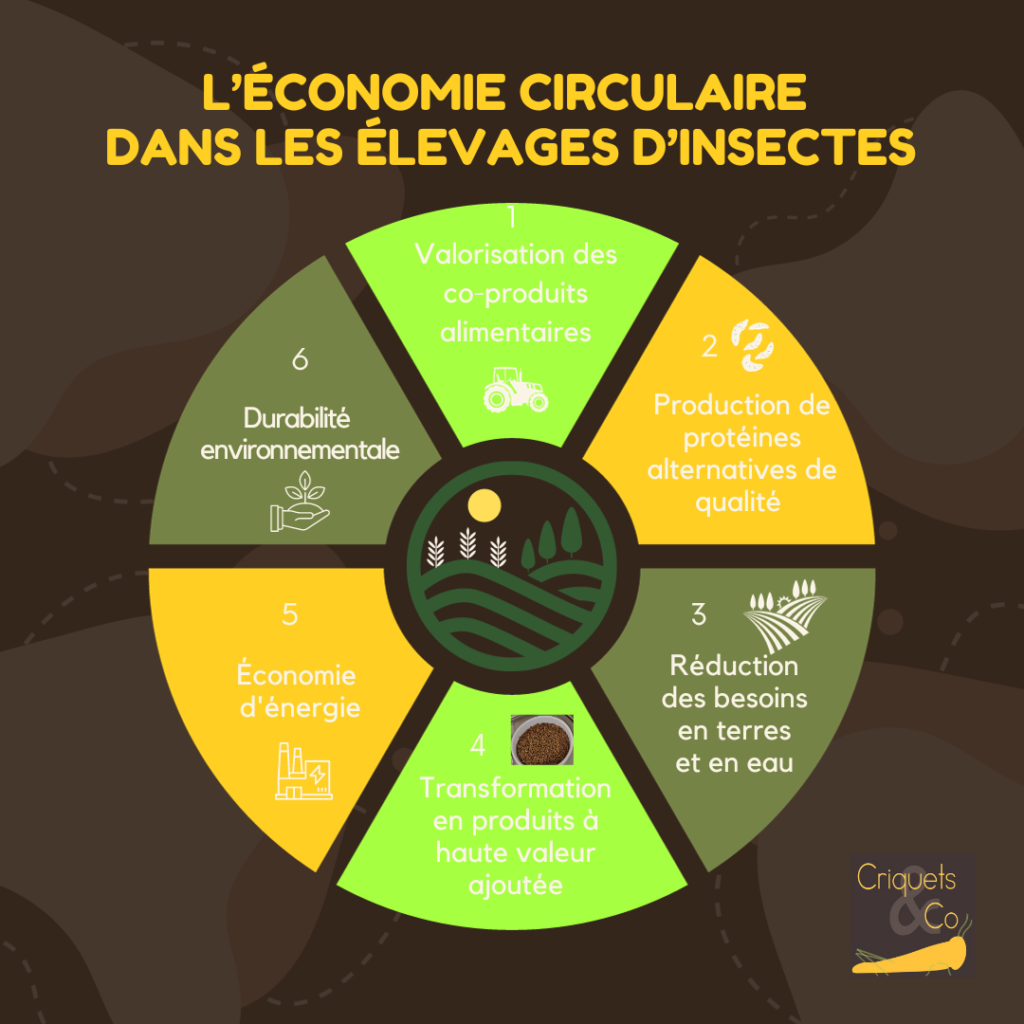 économiecirculaire #zérodéchet #environnement #agriculture #innovation
