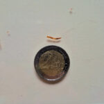 taille d'une microlarve