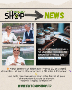 entomoshop télématin