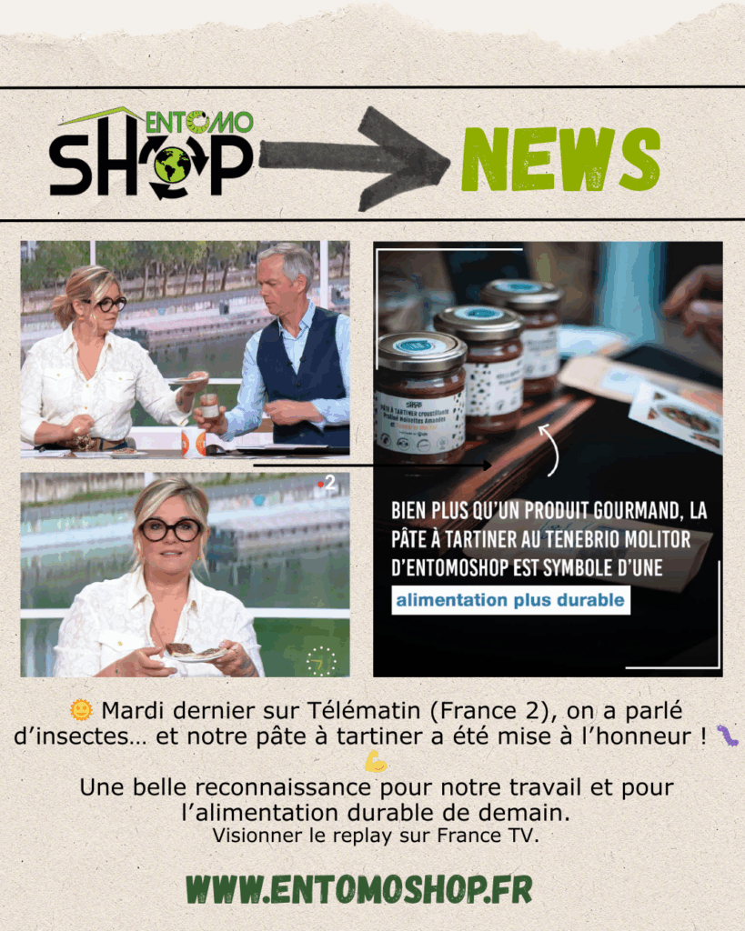 entomoshop télématin