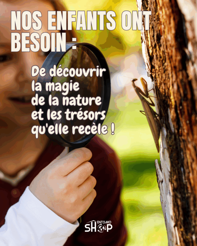 ✨ L'enfance a besoin de nature