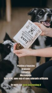 Protéines d’insectes, collagène, argousier : découvrez les Récompenses Luxx ! Des friandises super-premium, ultra-digestibles et éco-responsables pour booster l'entraînement de votre chien. Un choix sain pour lui et pour la planète.